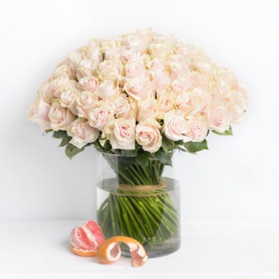100-roses-pink-amour-ode-a-la-rose-550x550-25901